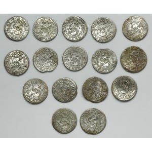 Set, Sigismund III Vasa, Schilling Riga 1621 (16 pcs.)