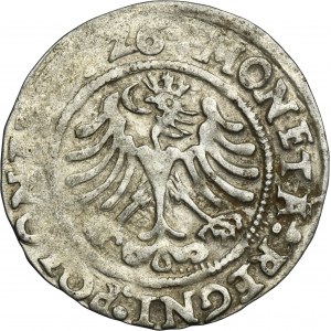 Sigismund I the Old, Groschen Krakau 1526