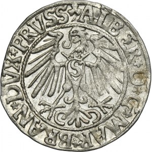 Duchy of Prussia, Albrecht Hohenzollern, Groschen Königsberg 1546