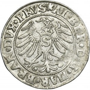 Duchy of Prussia, Albert Hohenzollern, Groschen Königsberg 1531 - PRVS