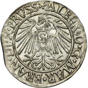 Duchy of Prussia, Albrecht Hohenzollern, Groschen Königsberg 1539 - PRVSS