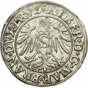 Duchy of Prussia, Albrecht Hohenzollern, Groschen Königsberg 1534 - PRVS