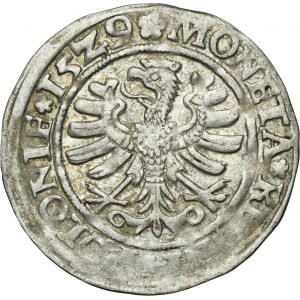 Sigismund I the Old, Groschen Krakau 1529