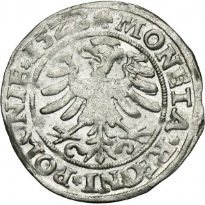 Sigismund I the Old, Groschen Krakau 1528