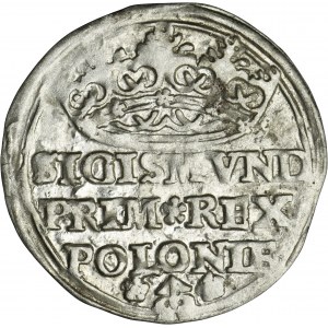 Sigismund I the Old, Groschen Krakau 1529
