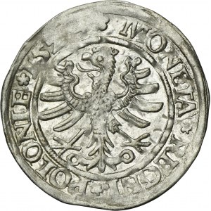 Sigismund I the Old, Groschen Krakau 1529
