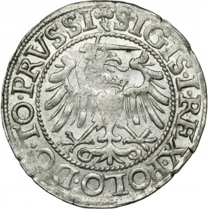 Sigismund I the Old, Groschen Elbing 1540 - PRVSSI