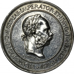 Galicia, Award Medal of the General National Exhibition in Lviv 1894 - RARE, SILVER