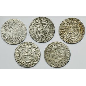 Set, Sigismund III Vasa, 3 Polker Bromberg 1620-1625 (5 pcs.)