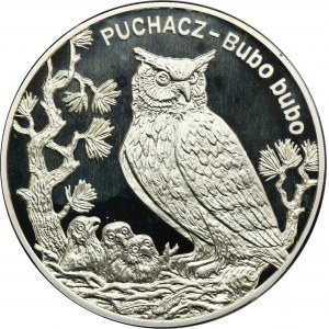 20 złotych 2005 Puchacz