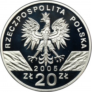 20 złotych 2005 Puchacz