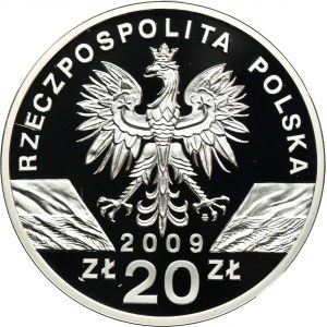 20 złotych 2009 Jaszczurka Zielona