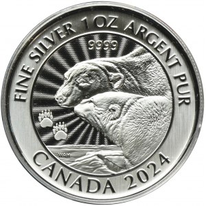 Kanada, Charles III, 5 USD Ottawa 2024 - Ľadové medvede