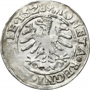 Sigismund I the Old, Groschen Krakau 1528