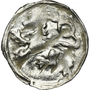 Silesia, County of Glatz, Georg von Podiebrad, Heller Glatz 1457-1465