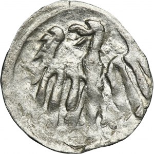 Silésie, comté de Kłodzko, Georges de Poděbrady, Halerz au pied de Wrocław Kłodzko 1457-1465.
