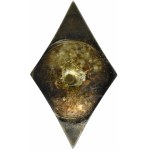 Badge of the Polish Union of Elementary School Teachers 1919 - 1930