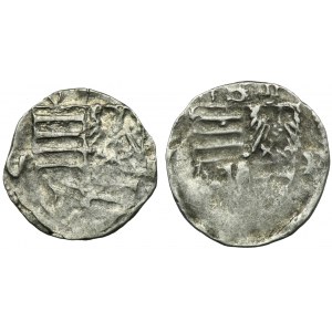 Hungary, Sigismund of Luxembourg, Parvi (2 pcs.)