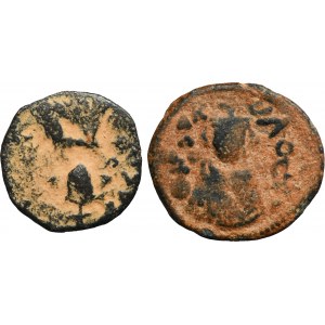Lot, Umajjads, Arab-byzantine imitations (2 pcs.)