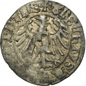Prusy Książęce, Albrecht Hohenzollern, Grosz Królewiec 1516 - BARDZO RZADKI