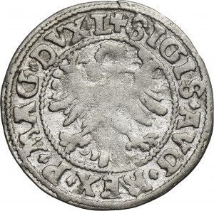 Sigismund II August, Halfgroschen Vilnius 1546 - L/LITV - RARE
