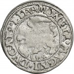 Zygmunt II August, Półgrosz Wilno 1546 - L/LITV - RZADKI