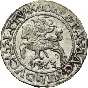 Zygmunt II August, Półgrosz Wilno 1563 - LI/LITV