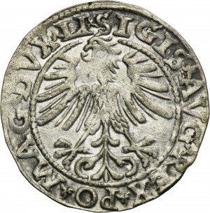Sigismund II Augustus, 1/2 Groschen Vilnius 1563 - LI/LITV