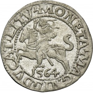 Zygmunt II August, Półgrosz Wilno 1564 - L/LITV