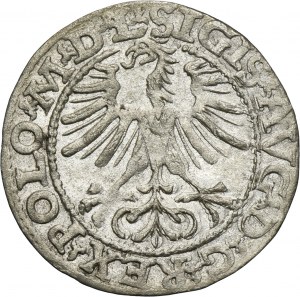 Sigismund II August, 1/2 Groschen Vilnius 1564 - L/LITV