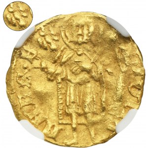 Silesia, Duchy of Liegnitz and Brieg, Wenceslaus I, Goldgulden (floren) undated - NGC AU DETAILS - RARE