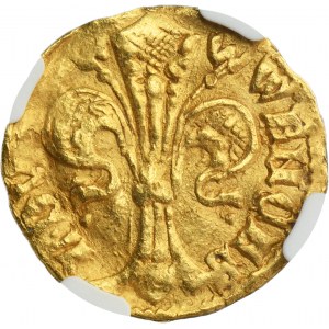 Silesia, Duchy of Liegnitz and Brieg, Wenceslaus I, Goldgulden (floren) undated - NGC AU DETAILS - RARE