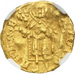 Silesia, Duchy of Liegnitz and Brieg, Wenceslaus I, Goldgulden (floren) undated - NGC AU DETAILS - RARE
