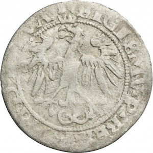 Sigismund I the Old, Groschen Vilnius 1536 - LITVA/LITVA, inverted letter F - February - RARE