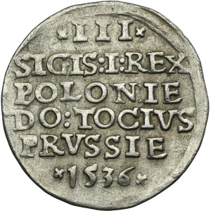 Zygmunt I Stary, Trojak Elbląg 1536 - RZADSZY