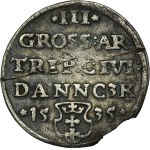 Sigismund I Old, Trojak Danzig 1535 - VERY RARE