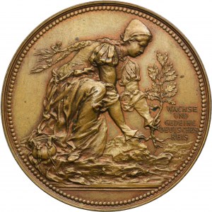 Austria, Medal German Singers Association Festival in Wien 1890