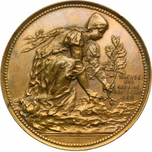 Austria, Medal German Singers Association Festival in Wien 1890