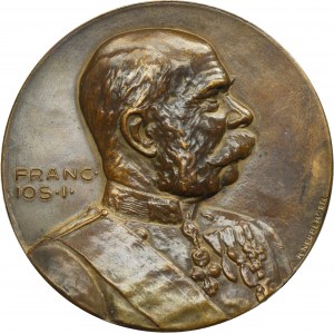Austria, Franciszek Józef I, Medal I Wojna Światowa 1914