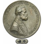 Austria, Medal Mayor Dr Karl Lueger 1909