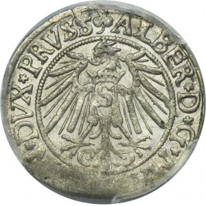 Duchy of Prussia, Albrecht Hohenzollern, Groschen Königsberg 1540 - PRVSS - PCGS AU58