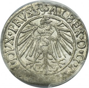 Duchy of Prussia, Albrecht Hohenzollern, Groschen Königsberg 1540 - PRVSS - PCGS AU58