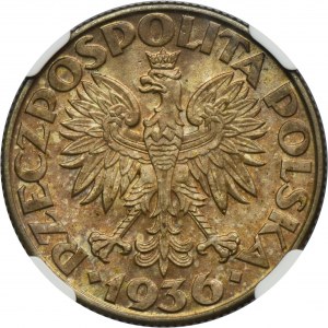 Sailing ship, 2 gold 1936 - NGC MS62
