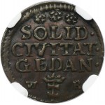 August III Sas, Szeląg Gdańsk 1754 WR - RZADKI - NGC AU DETAILS