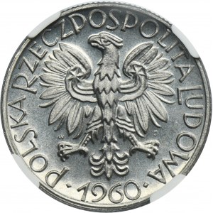 5 złotych 1960 Rybak - NGC MS66