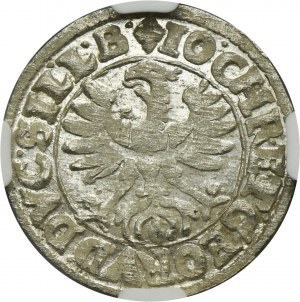 Silesia, Duchy of Liegnitz-Brieg-Wohlau, Johann Christian and Georg Rudolf, 3 Kreuzer Reichenstein 1618 HR - NGC MS63