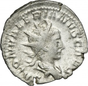 Roman Imperial, Saloninus, Antoninianus