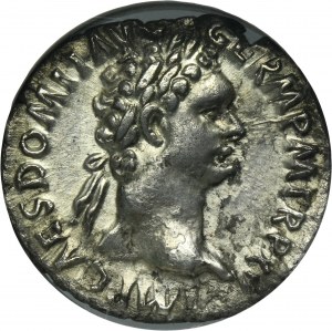 Roman Imperial, Domitian, Denarius