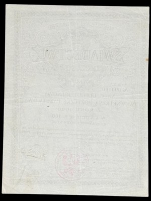 5% Long-term State Loan, temporary certificate 1920, 100 mkp