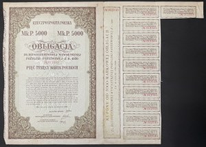 5% Long-term State Loan 1920, 5,000 mkp bond